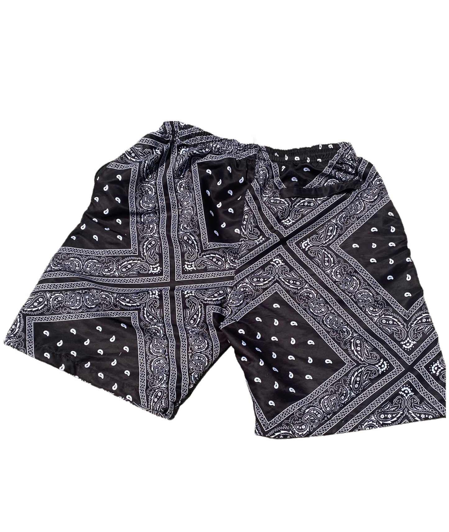 Oak Cliff Paisley Shorts (3 colors)