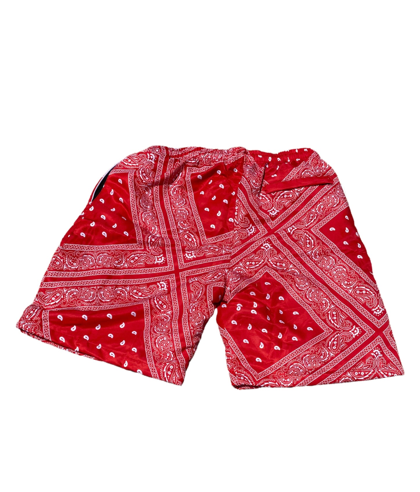 Oak Cliff Paisley Shorts (3 colors)