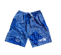 Oak Cliff Paisley Shorts (3 colors)