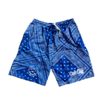 Oak Cliff Paisley Shorts (3 colors)