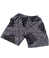Oak Cliff Paisley Shorts (3 colors)